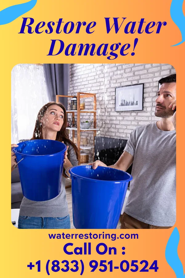 water restoration Advanced Flood Recovery Masters Daleville